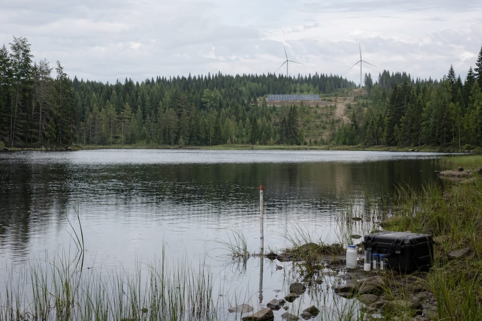 Which are the Greenest Countries in the World? We’ve Looked at the Data to Find Out