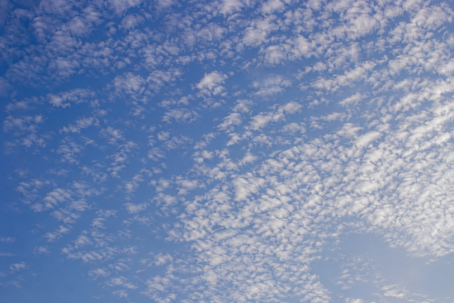 Cirrocumulus featured image