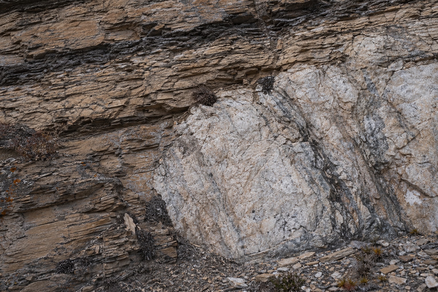 How are rocks formed featured image