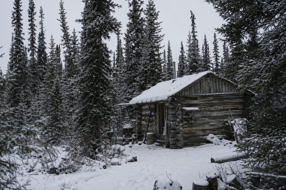 how to build a permanent shelter in the wilderness featured image