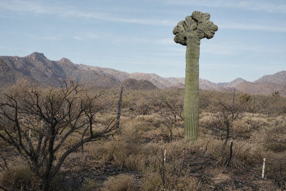 The Climate Threat to our Cultural and Natural Landscape