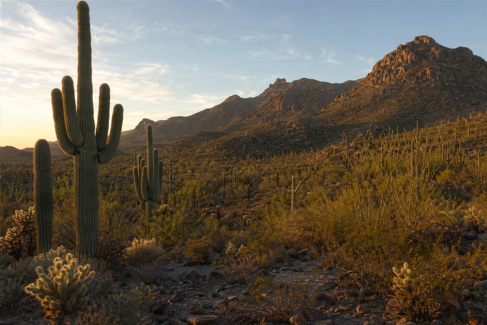 National Parks in Arizona featured image