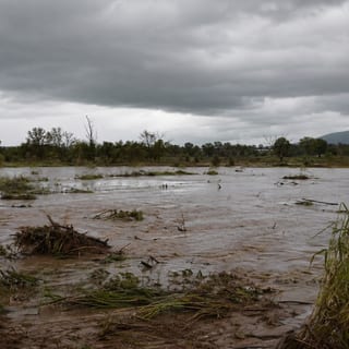 Nature's dangers featured image