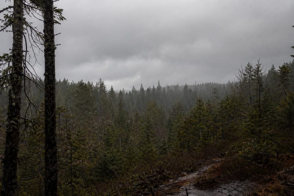 Nimbostratus featured image