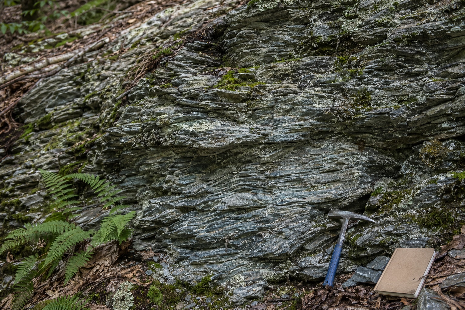 Schist featured image