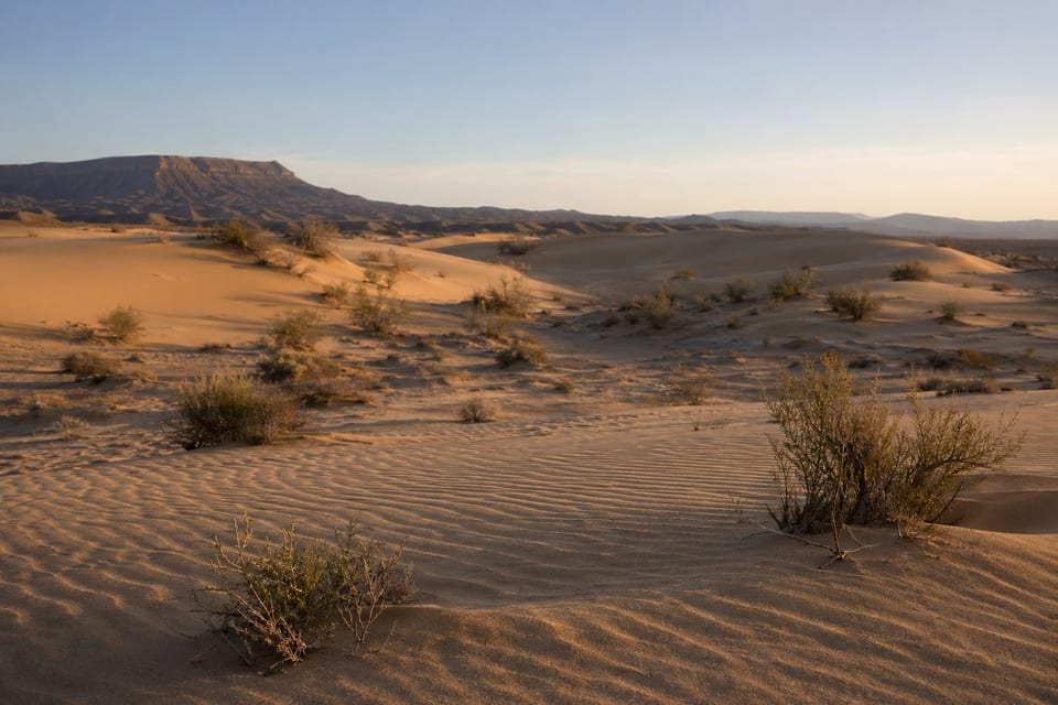 Types of deserts cover