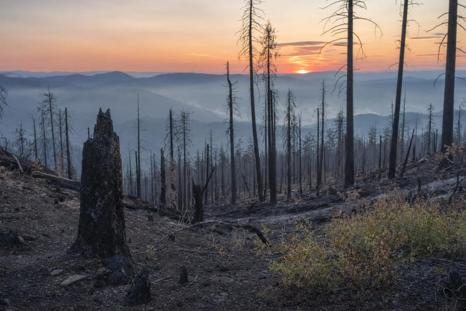 Types of natural disasters featured photo