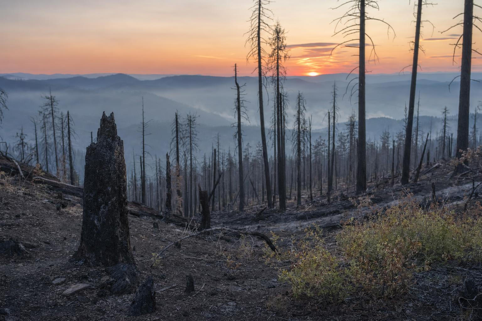 Types of natural disasters featured photo