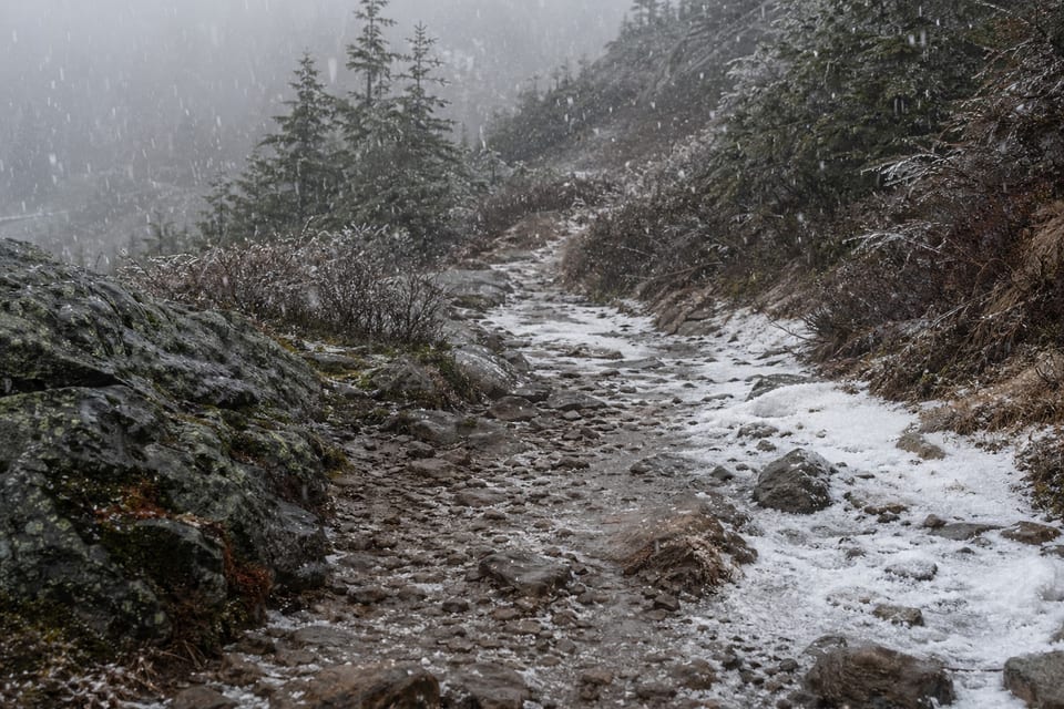 Types of precipitation featured image