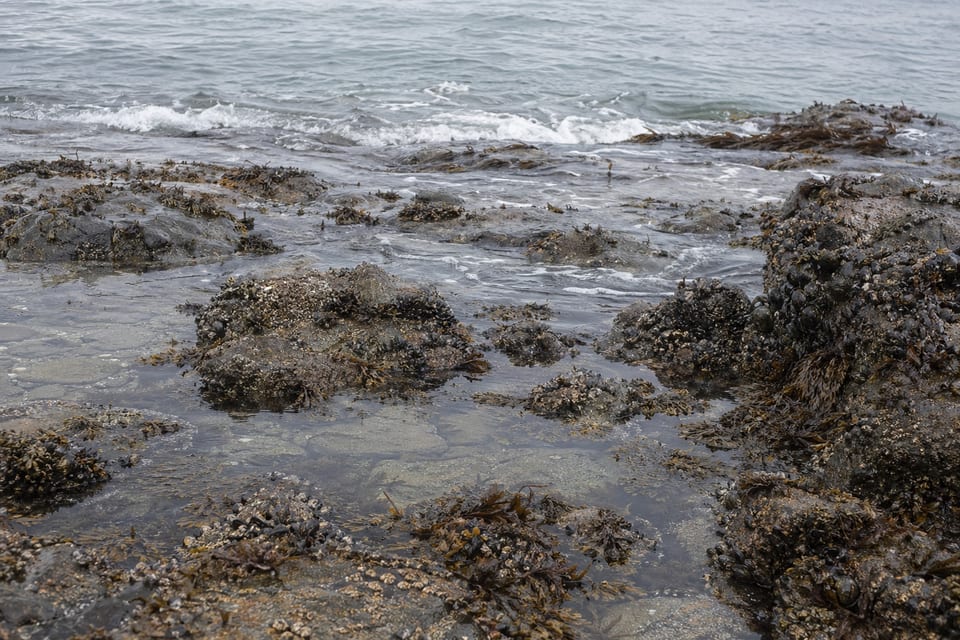 What causes tide featured photo