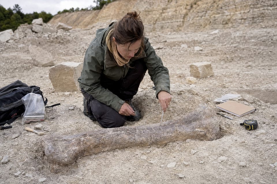 When were dinosaurs discovered featured image