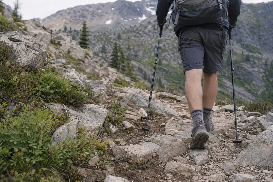 why use trekking poles featured image