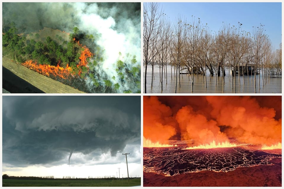 Four disasters: a wildfire in forest, trees standing in floodwater, a tornado under a storm cloud, and a lava eruption